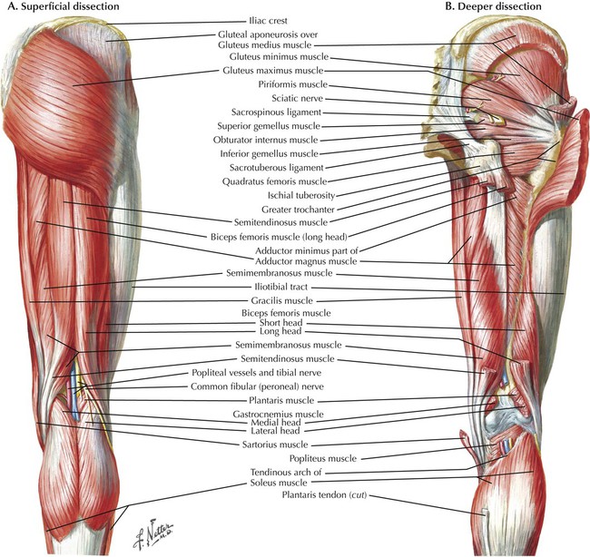 Maintenance Monday: My Hottest Hip Stretches